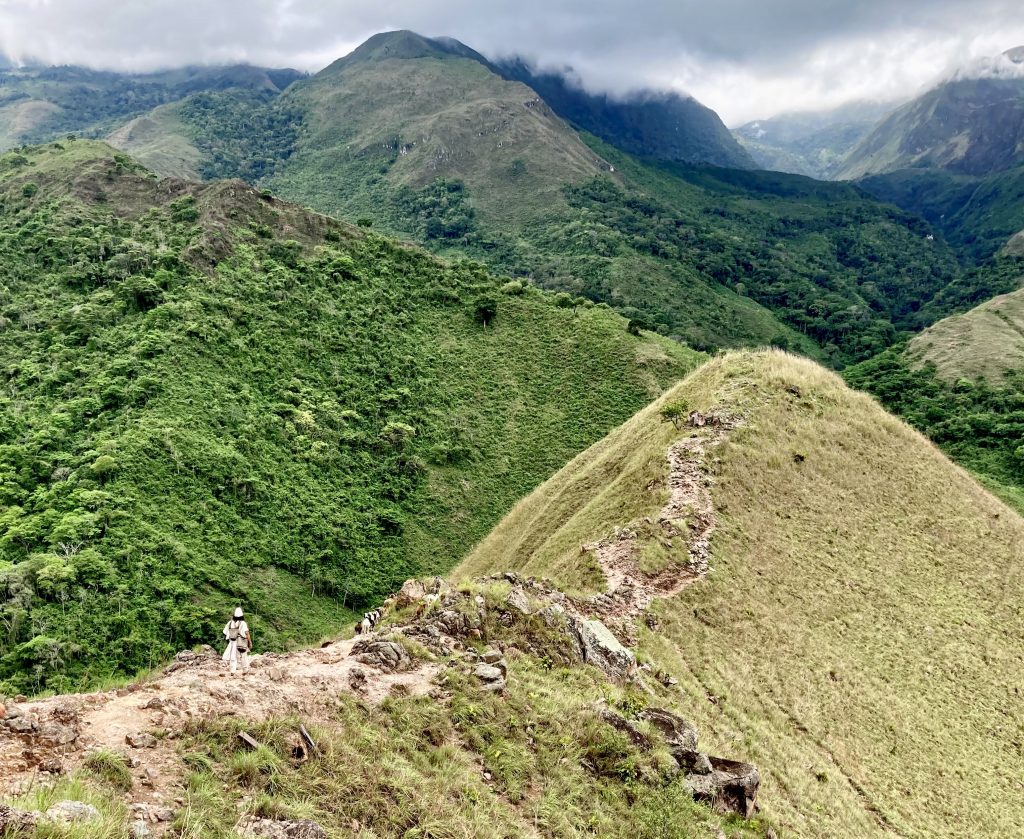 Mamo elder herding mountain sheep
